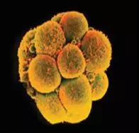 1514275987308408.jpg 13.jpg