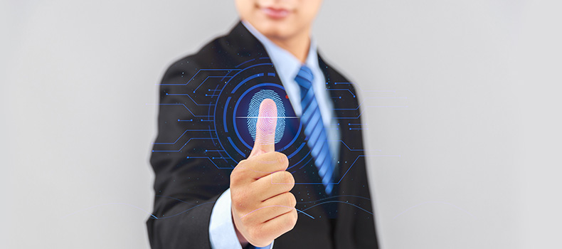 熱烈祝賀上海測振自動化儀器有限公司網(wǎng)站改版上線！